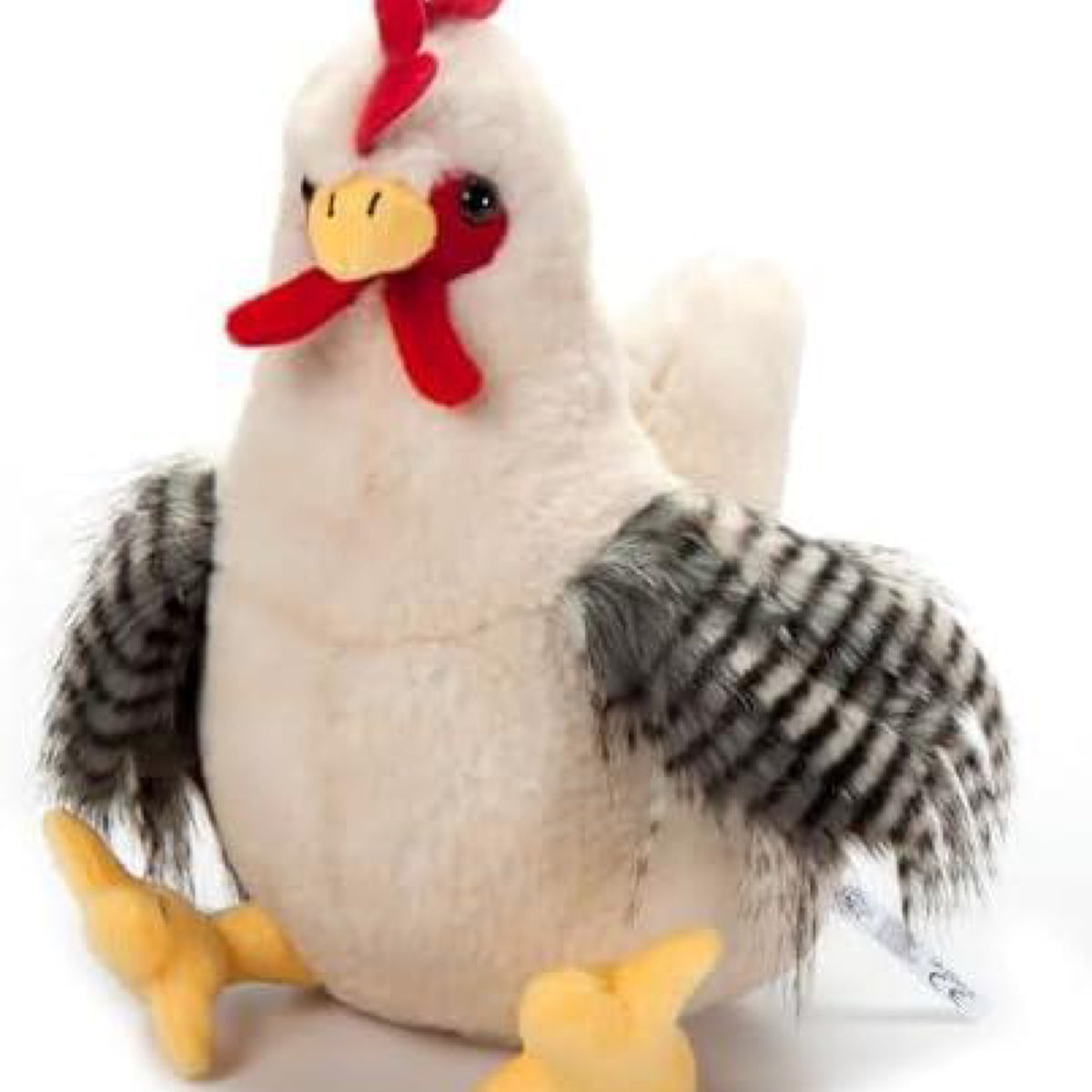 The Petting Zoo Chicken