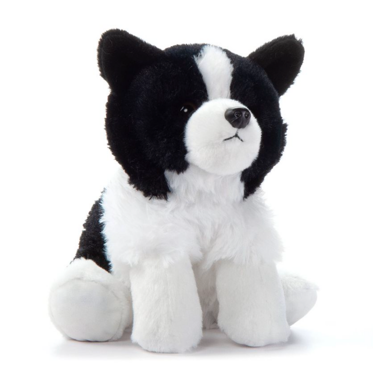 The Petting Zoo-Border Collie