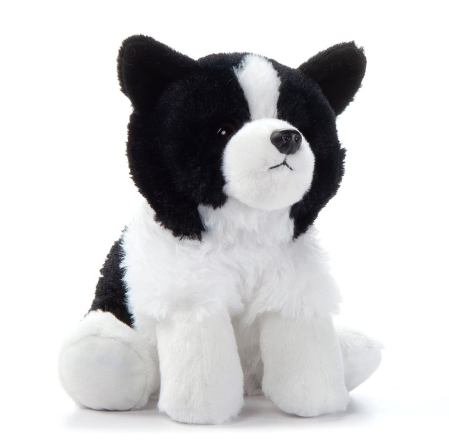 The Petting Zoo-Border Collie