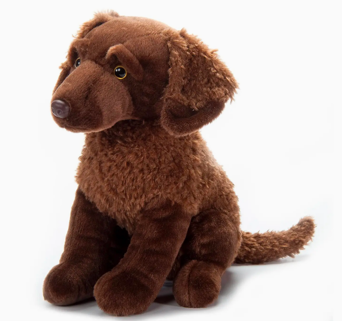 The Petting Zoo-Chesapeake Retriever