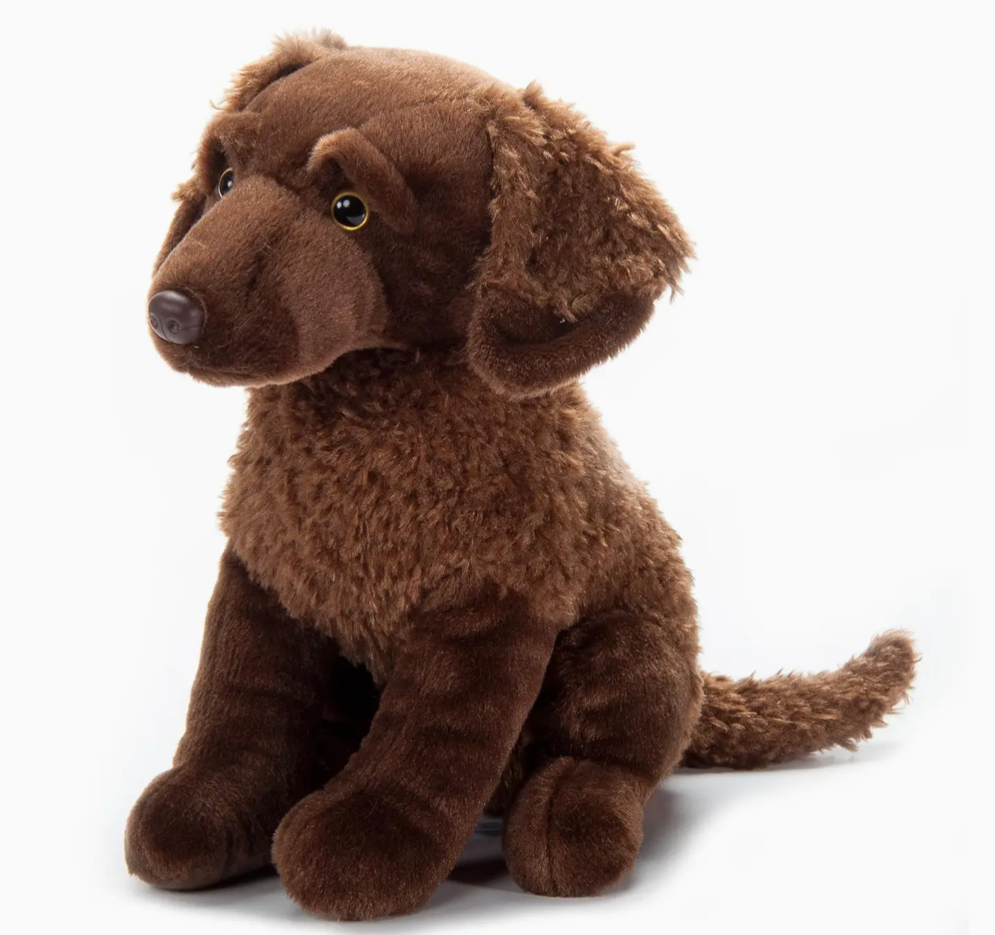 The Petting Zoo-Chesapeake Retriever