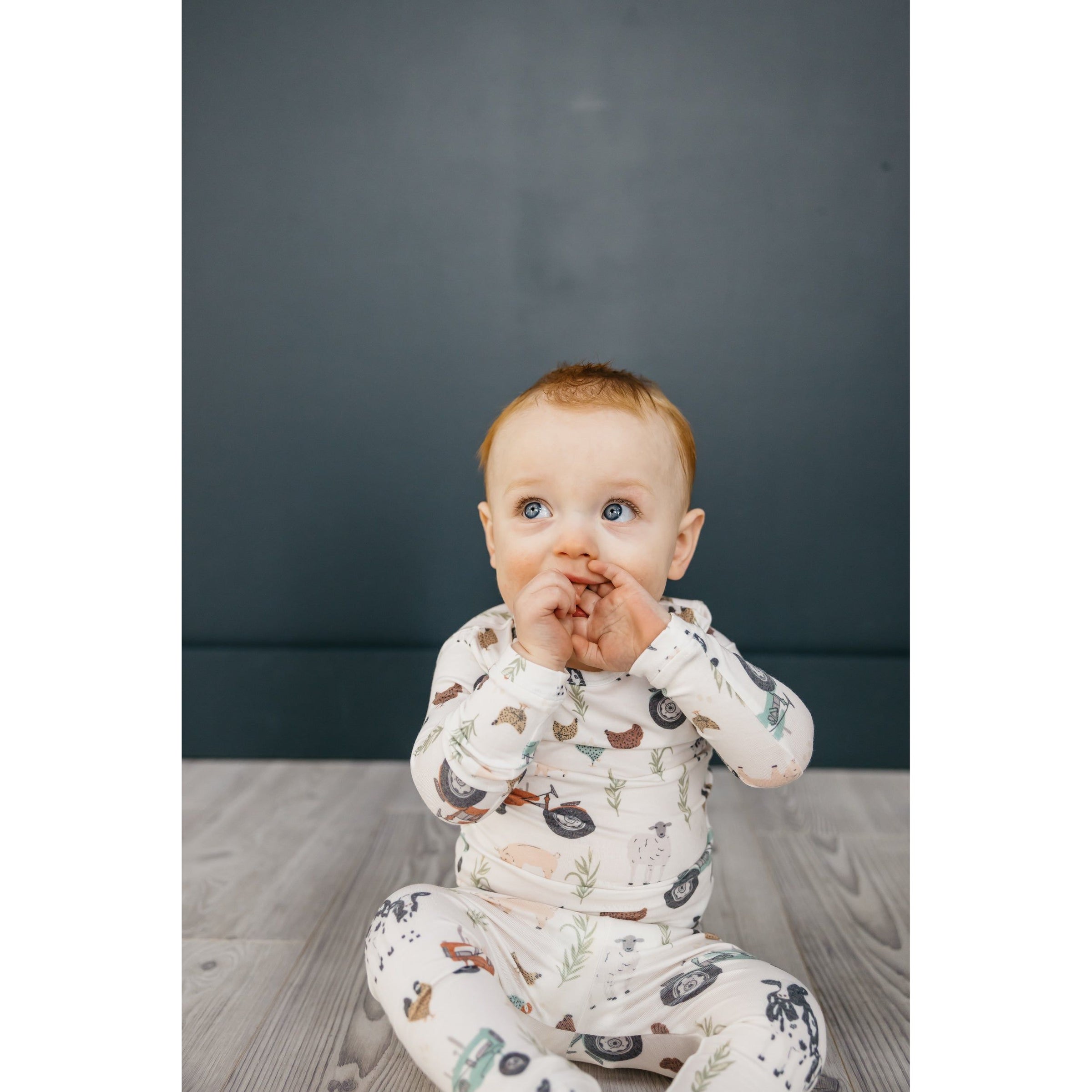 Copper Pearl Two Piece Long Sleeve Pajamas Jo (18m)