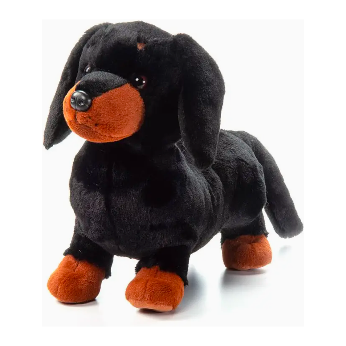 The Petting Zoo Dachshund Dog