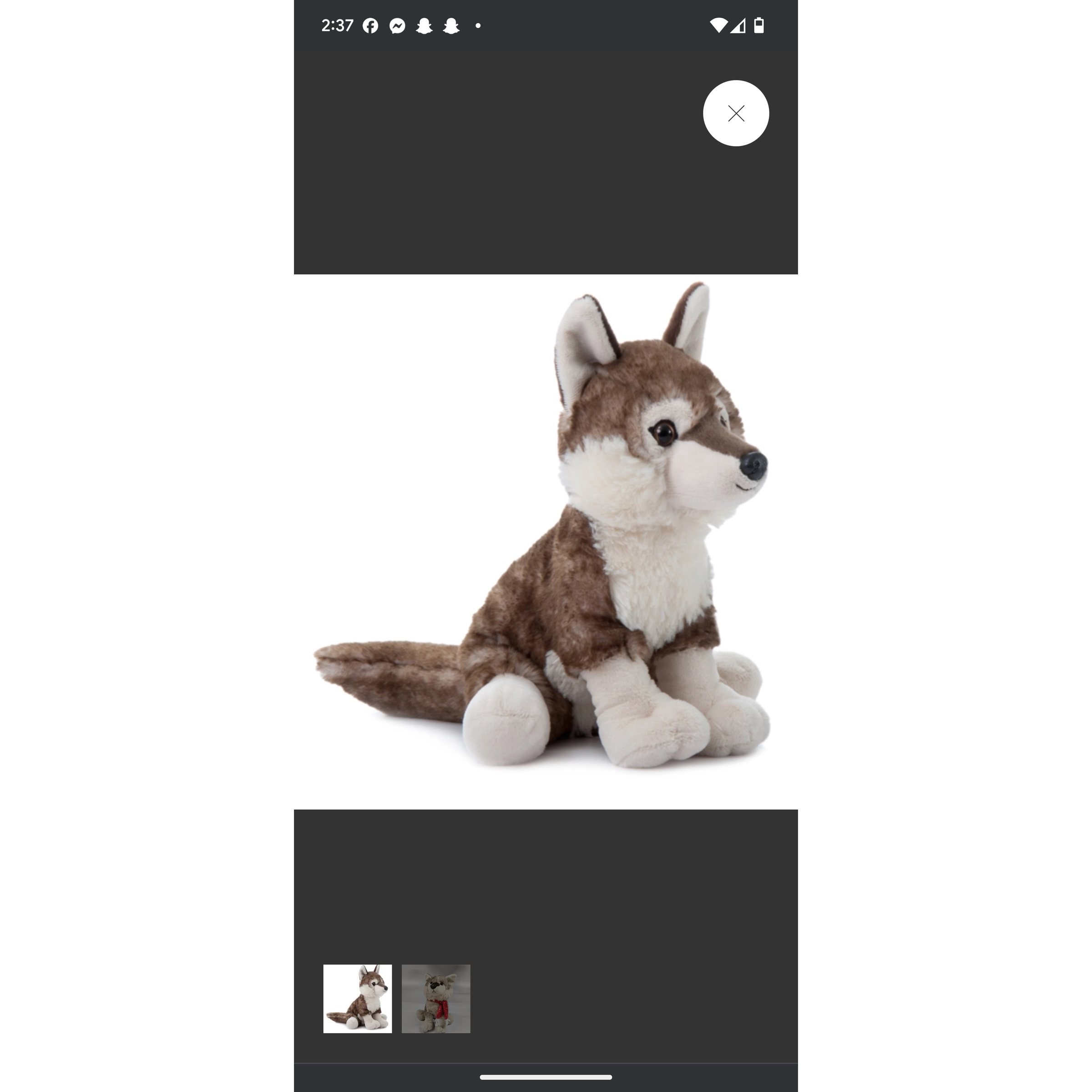 The Petting Zoo Timber Wolf