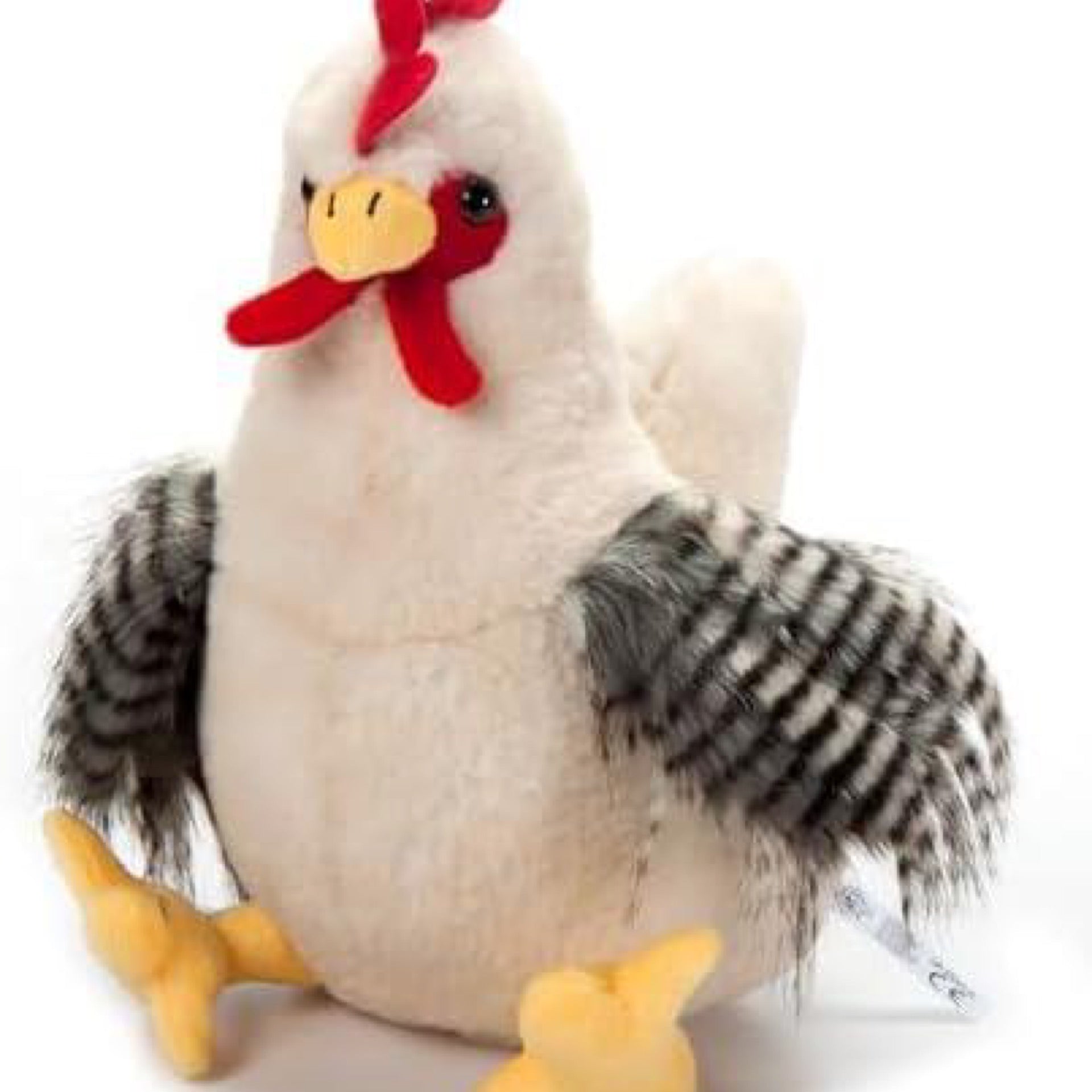 The Petting Zoo Chicken